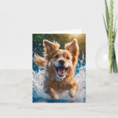 かわいい茶色と白の犬が水で遊んでいるブランク カード (正面)