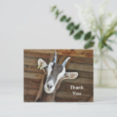 かわいい茶色と白ヤギの写真ありがとう ポストカード (スタンド正面)