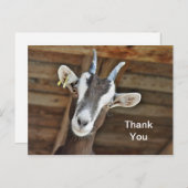 かわいい茶色と白ヤギの写真ありがとう ポストカード (正面/裏面)