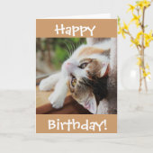 かわいい茶色のぶち猫のバースデー・カード、のどを鳴らす音fect日! カード (黄色い花)