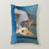 かわいい茶色のぶち猫の子ネコのおもしろいで好奇心が強い目の写真の-/ アクセントクッション (正面(垂直))