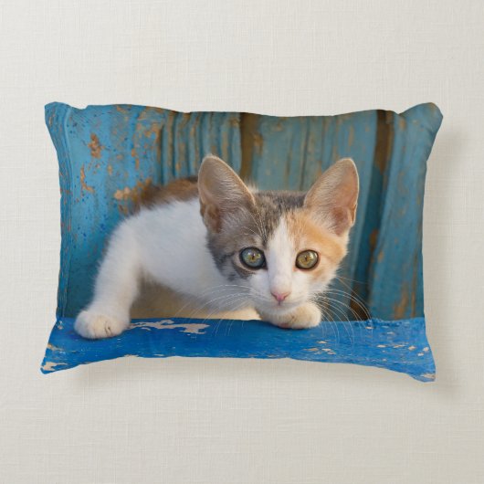 かわいい茶色のぶち猫の子ネコのおもしろいで好奇心が強い目の写真の-/ アクセントクッション (裏面)