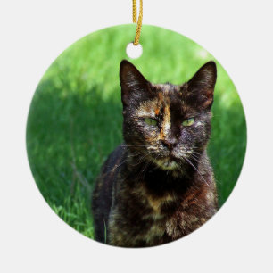 かわいい茶色のべといしェルの猫写真 セラミックオーナメント