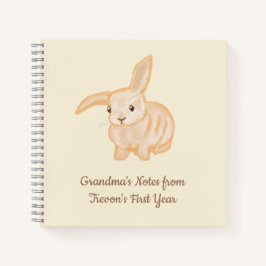 かわいい茶色のウサギ - ベージュの背景に透明。 ノートブック