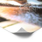 かわいい茶色のクマの写真 ポスター (角)