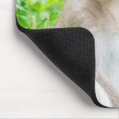 かわいい茶色のクモの子 マウスパッド (コーナー)