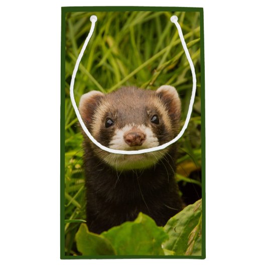 かわいい茶色のフェレットの芝生ありがとう スモールペーパーバッグ (裏面)