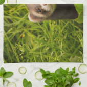 かわいい茶色のフェレットを芝生に キッチンタオル (折り畳み)