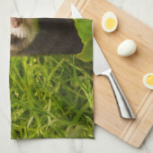 かわいい茶色のフェレットを芝生に キッチンタオル (四つ折り)