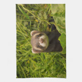 かわいい茶色のフェレットを芝生に キッチンタオル (縦)