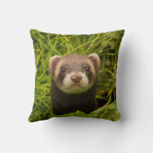 かわいい茶色のフェレットを芝生に クッション (裏面)