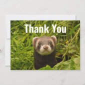 かわいい茶色のフェレットを芝生に サンキューカード (正面)