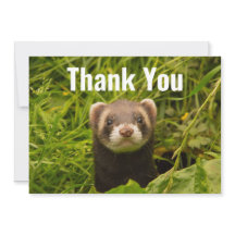 かわいい茶色のフェレットを芝生に