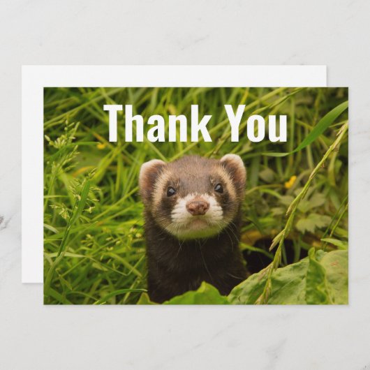 かわいい茶色のフェレットを芝生に サンキューカード (正面/裏面)