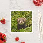 かわいい茶色のフェレットを芝生に スタンダードカクテルナプキン (インサイチュ)