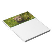 かわいい茶色のフェレットを芝生に ノートパッド (アングル)