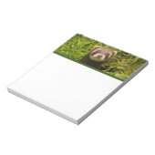 かわいい茶色のフェレットを芝生に ノートパッド (回転)