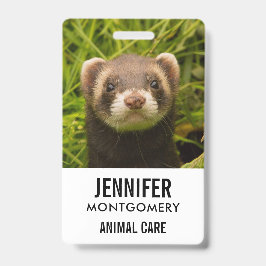 かわいい茶色のフェレットを芝生に バッジ