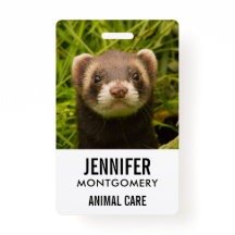 かわいい茶色のフェレットを芝生に