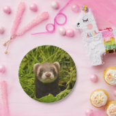 かわいい茶色のフェレットを芝生に ペーパープレート (パーティー)