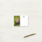 かわいい茶色のフェレットを芝生に ポストイット (デスク上)