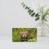 かわいい茶色のフェレットを芝生に 名刺 (スタンド正面)