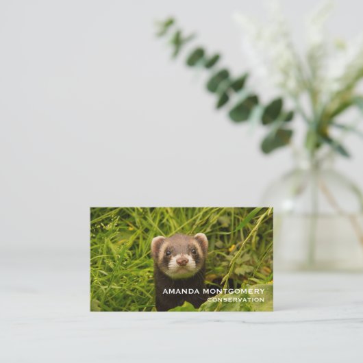 かわいい茶色のフェレットを芝生に 名刺 (スタンド正面)