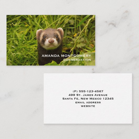 かわいい茶色のフェレットを芝生に 名刺 (正面/裏面)