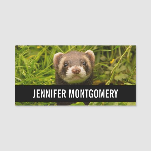 かわいい茶色のフェレットを芝生に 名札 (正面)
