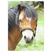 かわいい茶色のポニー クリップボード (裏面)