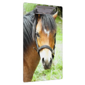 かわいい茶色のポニー クリップボード (右)