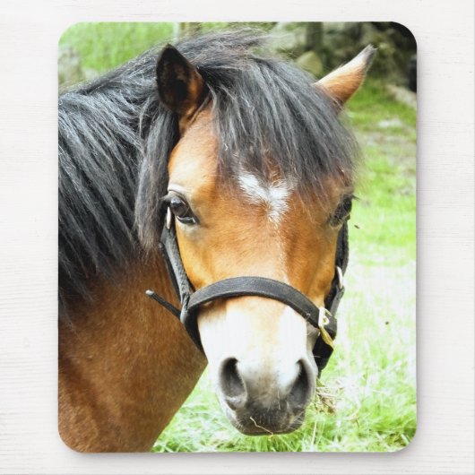 かわいい茶色のポニー マウスパッド (正面)