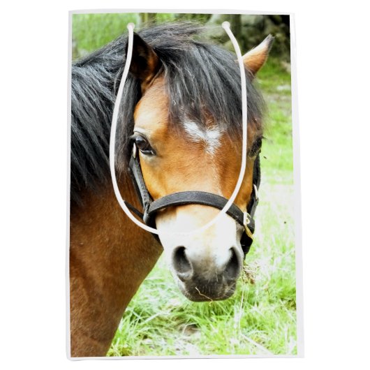 かわいい茶色のポニー ミディアムペーパーバッグ (正面)