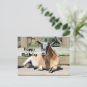 かわいい茶色のヤギの睡眠写真の誕生日 ポストカード (スタンド正面)