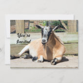 かわいい茶色のヤギの睡眠写真の誕生日 招待状 (正面)