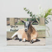 かわいい茶色のヤギの睡眠写真の誕生日 招待状 (スタンド正面)