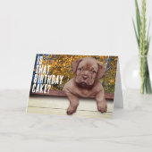 かわいい茶色の子犬の写真テンプレート 誕生日 カード (正面)