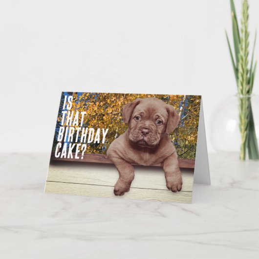 かわいい茶色の子犬の写真テンプレート 誕生日 カード (正面)