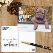 かわいい茶色の子犬の写真特別な機会テンプレート ポストカード