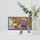 かわいい茶色の子犬の写真 スペシャルオケーションテンプレート ポストカード (スタンド正面)