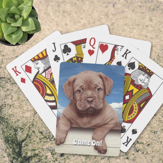 かわいい茶色の子犬の写真 トランプ
