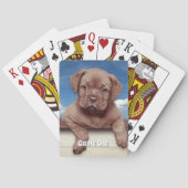 かわいい茶色の子犬の写真 トランプ (裏面)