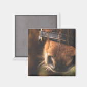 かわいい茶色の馬の鼻のクローズアップ マグネット (正面/裏面)