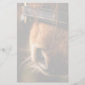 かわいい茶色の馬の鼻のクローズアップ 便箋 (正面)