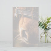 かわいい茶色の馬の鼻のクローズアップ 便箋 (スタンド正面)