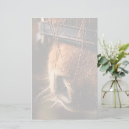 かわいい茶色の馬の鼻のクローズアップ 便箋 (スタンド正面)