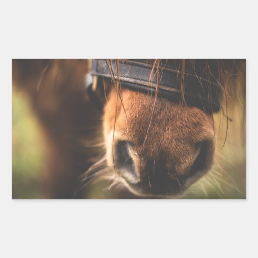 かわいい茶色の馬の鼻のクローズアップ 長方形シール (正面)