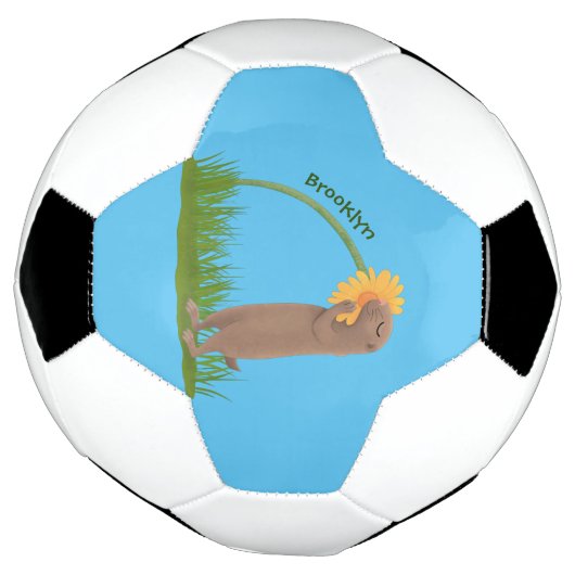 かわいい草原の犬が花漫画を嗅ぐ サッカーボール (回転)