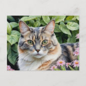 かわいい薄めのサビ猫、庭で ポストカード (正面)