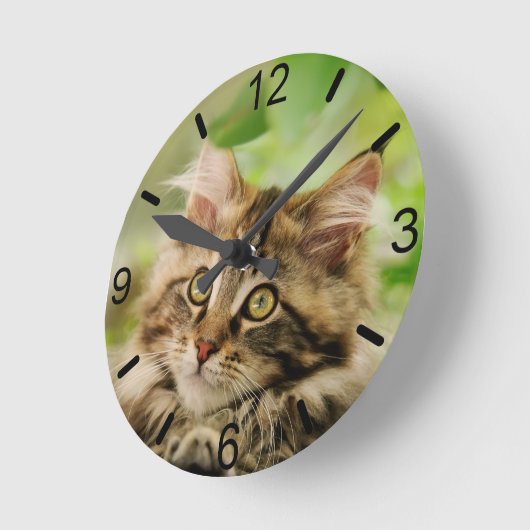 かわいい虎猫のメインあらいぐま猫の子猫がふわふわ頭の写真 ラウンド壁時計 (傾斜)